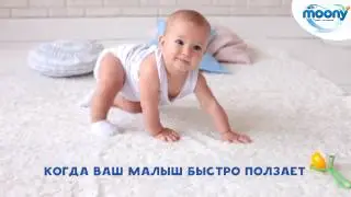 Первые шаги!