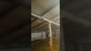 конкретные размеры овчарни