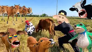 Con bò - Con bò con - Nhạc con bò - Con bò ăn cỏ - Bài hát con bò - Nhạc parody con bò #conbo