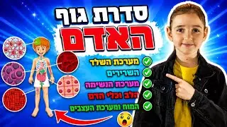 הילימוד ברצף - סדרת גוף האדם | מערכת השלד, השרירים, מערכת הנשימה, הלב וכלי הדם, המוח ומערכת העצבים