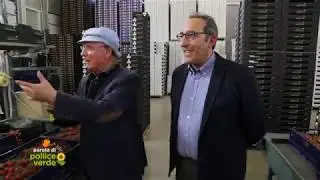 CVF SRL Ingrosso ortofrutta - Ortofrutta di Sicilia