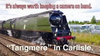It’s always worth having a camera on hand