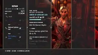 Elder Scrolls Online