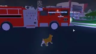 Roblox Dog Experience.