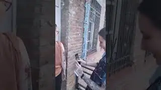 От идеи до исполнения в 24 секундах 🧡