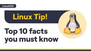Top 10 facts about Linux you should know