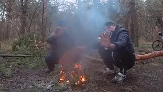 Уха в соснах под февральским дождем...