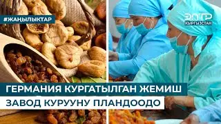ГЕРМАНИЯ КУРГАТЫЛГАН ЖЕМИШ ЗАВОД КУРУУНУ ПЛАНДООДО