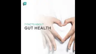 7 Facts About Gut Health