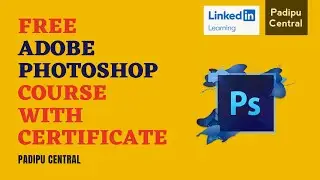 Free Photoshop Course with Certificate | LinkedIn Learning