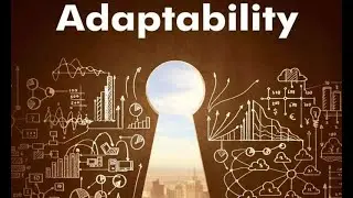Embracing Change: Adaptability as a Key to Success