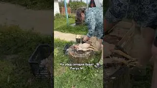 20 августа 2024 г.