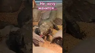 Польша. Террариум во Вроцлаве!