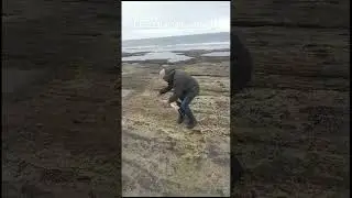 Как мы фламинго спасали!