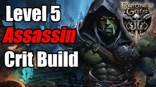 Epic Assassin/Paladin Crit Build | Baldurs Gate 3
