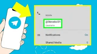 Como Criar ou Mudar o Nome de Usuário no Telegram | Passo a Passo