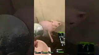 Left 4 dead 2 Meme - Hunter  [L4D2]