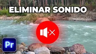 cómo ELIMINAR SOLO el SONIDO de un Video en Premiere Pro