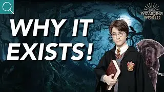Why the Forbidden Forest ACTUALLY Exists! (Harry Potter Theory)