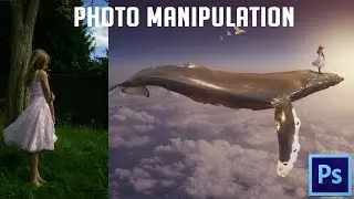 BALLENA VOLANDO | PHOTO MANIPULATION | SPEED ART | 