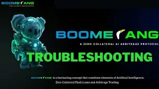 How To Troubleshoot Boomerang AI Arbitrage-Zero Collateral 🌟 | How to trade using arbitrage-Crypto