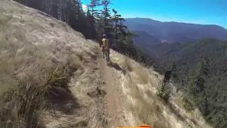 Alpine Trail