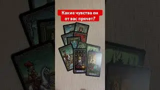 Какие чувства он прячет? 