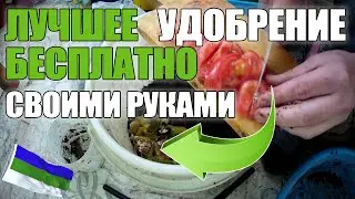 ЛУЧШЕЕ БЕСПЛАТНОЕ УДОБРЕНИЕ ДЛЯ ОГОРОДА СВОИМИ РУКАМИ / КУПИЛИ ДАЧУ / ОГОРОД НА УЧАСТКЕ