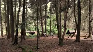 Subscriber camp in Surrey