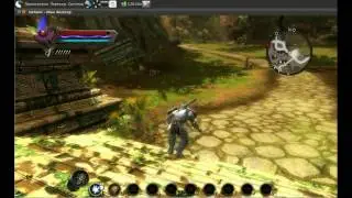 Kingdoms of Amalur Reckoning on Ubuntu