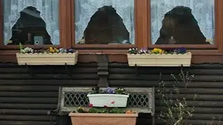 Наша Дача 