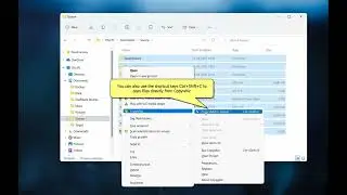 Windows: Copy/backup only changed files new or modified using Copywhiz