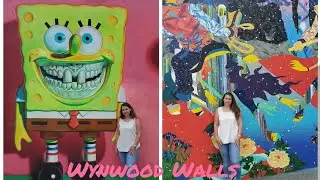 Wynwood Walls Street Art- Urban Graffiti Art in Miami