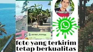cara mengirimkan foto di whatsapp tanpa mengurangi kualitas gambar
