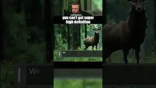 Adobe’s gone too far...