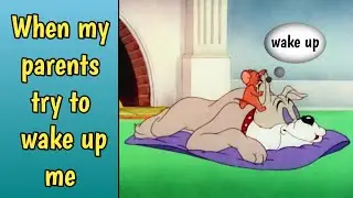 morning status||morning funny whatsapp status||tom and jerry memes||sleep memes funny||#fvmemer