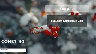 У.Шекспир – «Ищу любовь погибшую мою» (Сонет 30)
