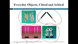Lecture #11 - Carbohydrates