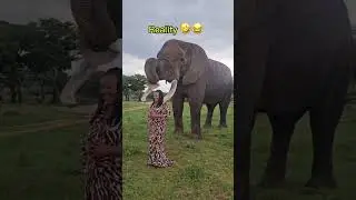 #travel