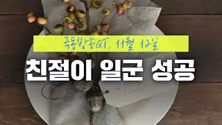 [경건생활 365] 11월 12일 - 친절이 일군 성공