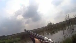 ОХОТА НА УТКУ
