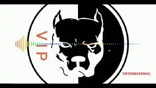 VIPmusic (temix)