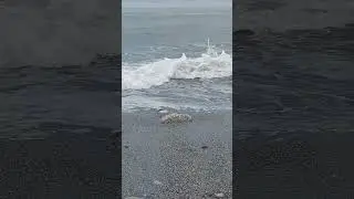 Жизнь камня)))
