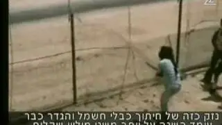 תיעוד נדיר: המסתערבים של מג