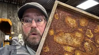 Beekeeping Equipment You Didn't Know You Should Use