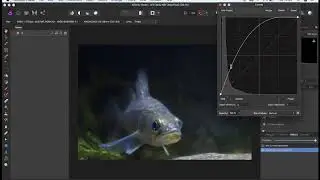 Editing with Affinity Photo: Curves