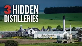The BEST Scotch whiskies you've never heard of