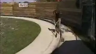 rc drift speed  200mph