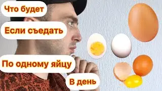 Что будет если съедать по одному яйцу в день