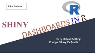 20. How to change the default settings of shiny.